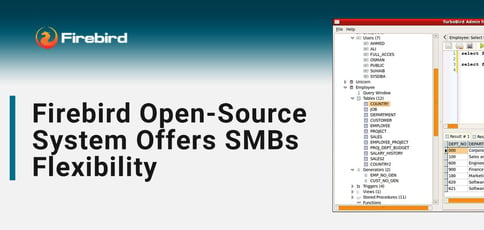Firebird Open Source System Offers Smbs Flexibility