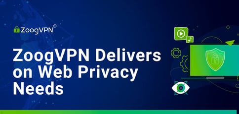 Zoogvpn Delivers On Web Privacy Needs