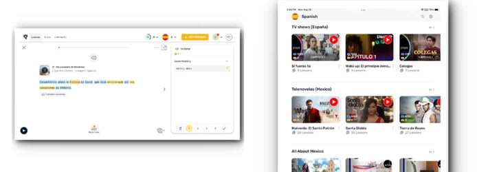 LingQ Platform