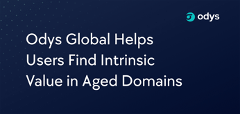 Odys Global Spotlights the Significance of Due Diligence in Domain Investing
