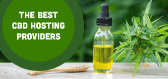 5 Best CBD Hosting Providers (2024)