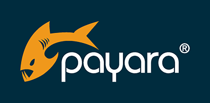 Payara logo on dark blue background
