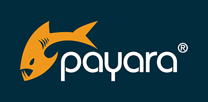 Payara logo on dark blue background Payara logo on dark blue background