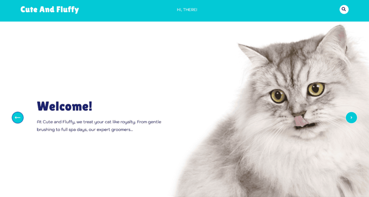 WordPress theme WordPress theme