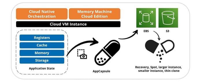 MemVerge App capsule diagram MemVerge App capsule diagram