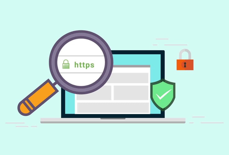 An illustration of a web browser and magnifying glass. The magnifying glass is hovered over the locked padlock icon.