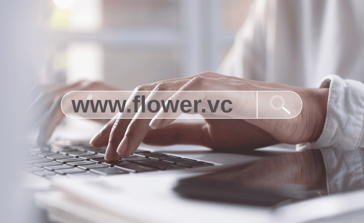 An address bar with "www.flower.vc" typed in. An address bar with "www.flower.vc" typed in.