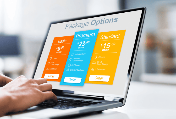 A computer screen with 3 package options: Basic, Premium, and Standard. A computer screen with 3 package options: Basic, Premium, and Standard.