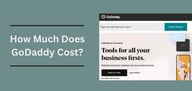 GoDaddy Hosting Cost in (2024): How to Save on GoDaddy