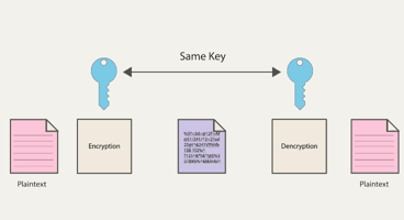 An illustration of the password encryption process.