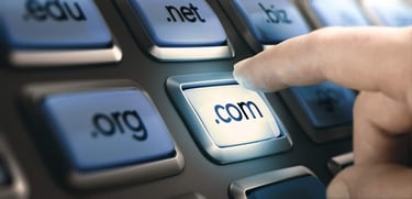 Photo of person selecting a domain
