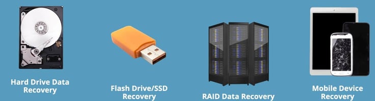 Flashback Data Offerings