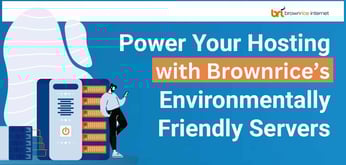 Brownrice Offers Fully Loaded Hosting Services Run on Energy-Efficient Datacenters