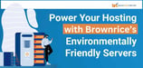 Brownrice Offers Fully Loaded Hosting Services Run on Energy-Efficient Datacenters