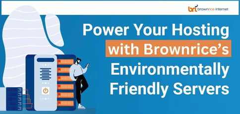 Power Your Hosting With Brownrice Environmentally Friendly Servers