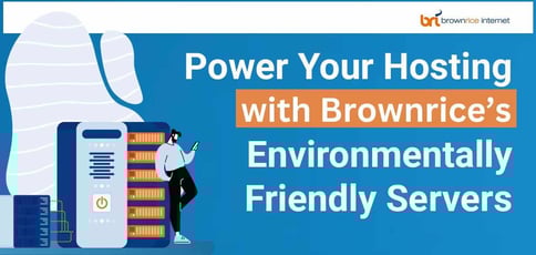 Power Your Hosting With Brownrice Environmentally Friendly Servers Power Your Hosting With Brownrice Environmentally Friendly Servers