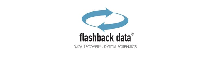 Flashback Data Logo