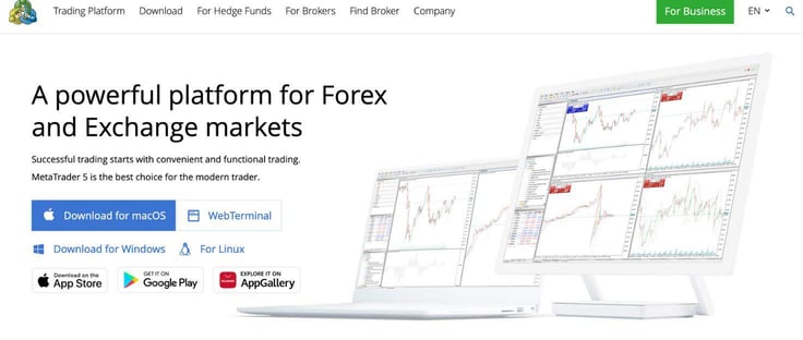 A screenshot of MetaTrader 5 homepage
