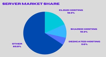 Graphic of a pie chart with server stats