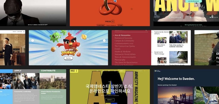 Screenshot of WordPress sites