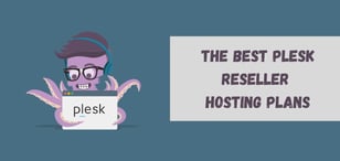 8 Best: Plesk Reseller Hosting and Alternatives (2024)
