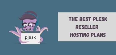 Best Plesk Reseller Hosting