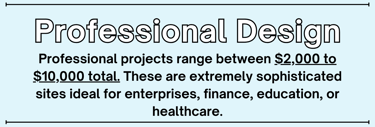 Professional projects range between $2,000 to $10,000 total. These are extremely sophisticated sites ideal for enterprises, finance, education, or healthcare.