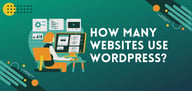 How Many Websites Use WordPress? (2025 Stats)
