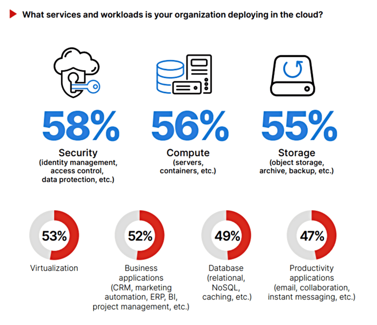 Services and workloads deployed in the cloud Services and workloads deployed in the cloud