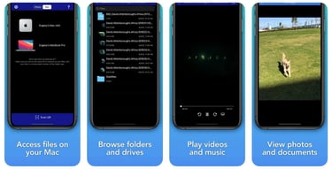A screenshot of File Explorer and Player capabilities