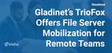 Gladinet’s TrioFox Changes the Game for Remote Teams with VPN-Free File Server Mobilization Solutions