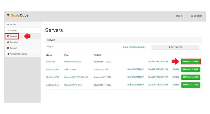 A screenshot of ScalaCube client area A screenshot of ScalaCube client area