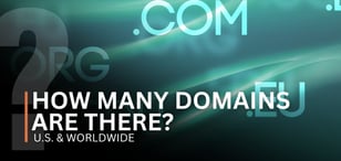 How Many Domains Are There? U.S. &amp; Worldwide (2025 Stats)