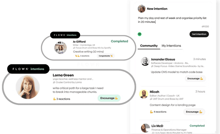 Screenshot from FLOWN homepage