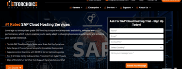 Screenshot of NetForChoice SAP landing page