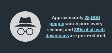 Porn viewership statistic