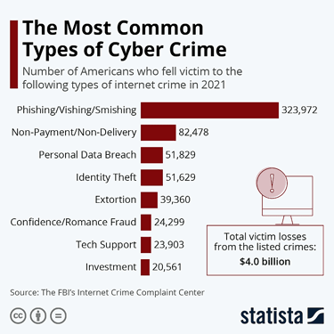 Bar graph titled "The Most Common Types of Cyber Crime" by Statista