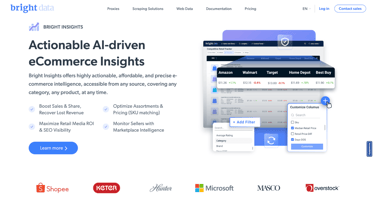 Bright Insights webpage Bright Insights webpage