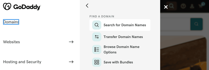Screenshot of GoDaddy's domain name search
