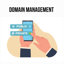 Domain management illustration
