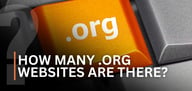 How Many .Org Websites Are There? (2025 Stats)