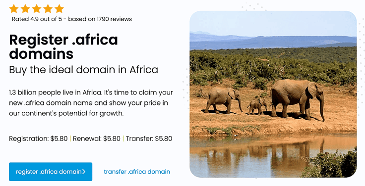 Screenshot of HostAfrica TLD purchase page