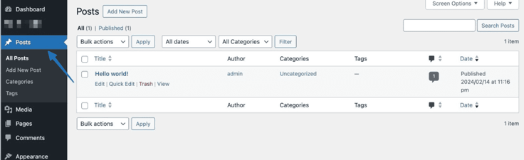WordPress posts page screenshot