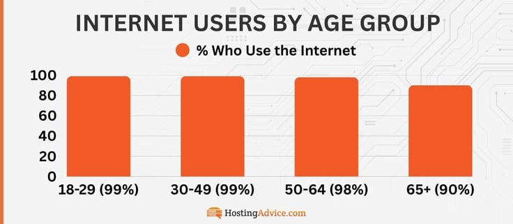 Internet users by age group: 18-29 (99%) 30-49 (99%) 50-64 (98%) 65+ (90%) Internet users by age group: 18-29 (99%) 30-49 (99%) 50-64 (98%) 65+ (90%)