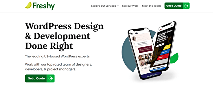 Freshy WordPress development landing page Freshy WordPress development landing page