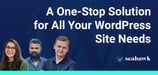 WordPress Services Partner Solves Your Website Issues for Better Optimization and Results