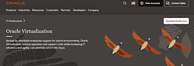 Oracle virtualization landing page screenshot
