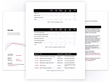 Screenshot of sample audit report