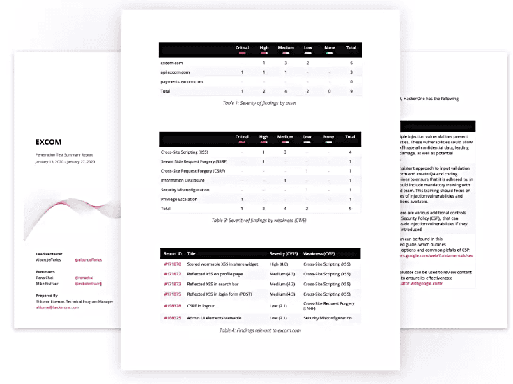 Screenshot of sample audit report
