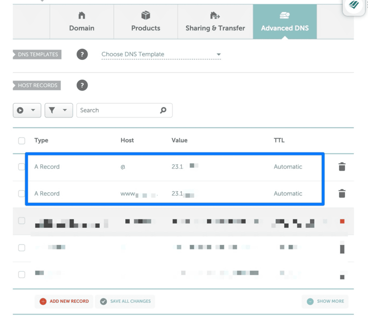 domain record dashboard